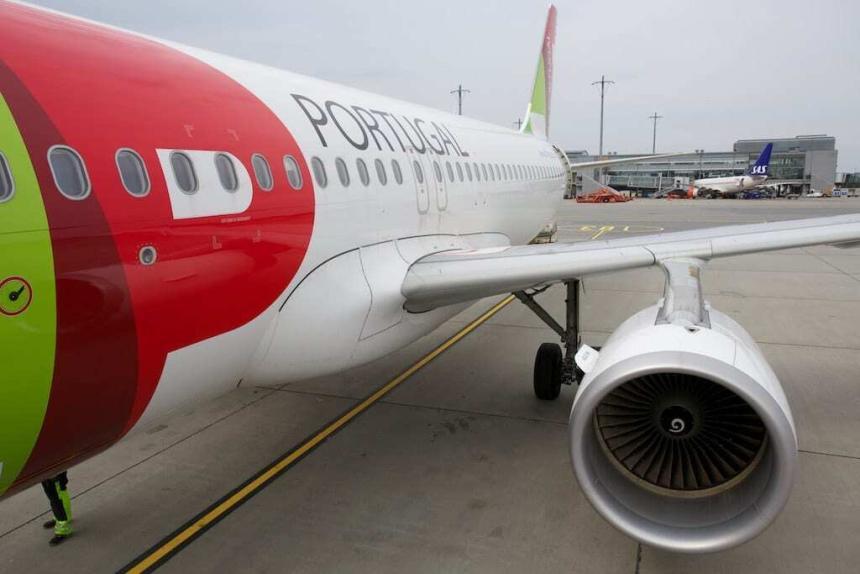 130 hamstere stanset TAP-fly i fem dager