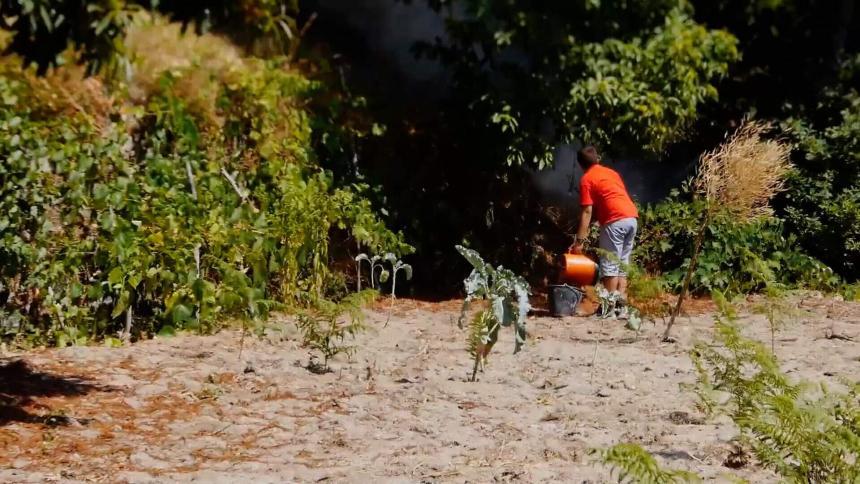 Algarve er under «rød» brann-fare nivå