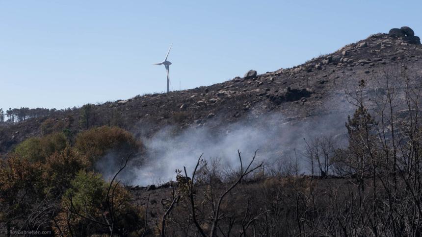 Den store Monchique-brannen i august 2018 ble tilfeldigvis forårsaket av en av EDP’s mellomspenning linjekabler