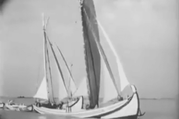 Portugalvideo 1950
